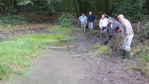 Clearing the Pond